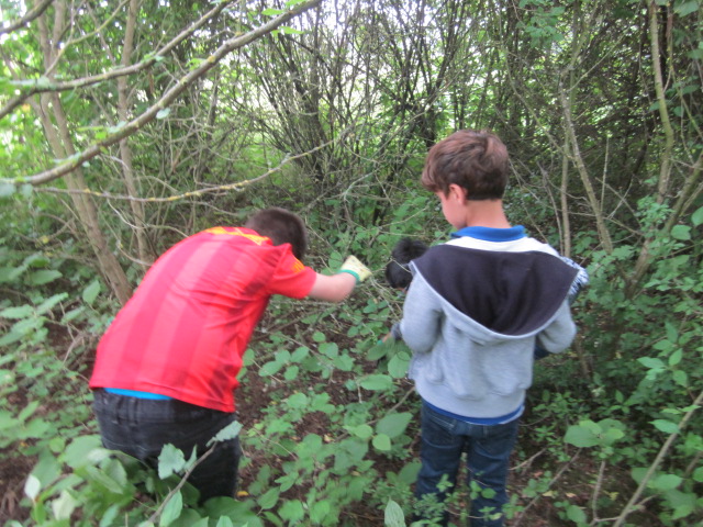 In der Hecke